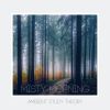 Download track Mid-Morning Mist