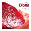 Download track Biota (DJ GrujA Remix)