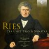 Download track Piano Trio In G Minor, Op. 28: IV. Rondo. Allegro Ma Non Troppo