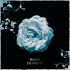 Download track Solivagant