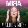 Download track Maldita Noche