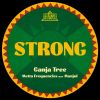 Download track Strong Dub