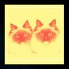 Download track Fiery Ambiance For Cute Kitten