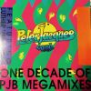 Download track One Decade Of Peter Jacques Band Megamix (The Uptempo Tracks (136 BPM))