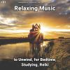 Download track Relaxing Music, Pt. 22