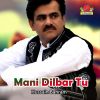 Download track Tara Ghosti Dilani