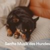 Download track Fluchtweg Des Hundes