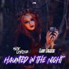 Download track Haunted In The Night