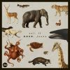 Download track Marching Elephants