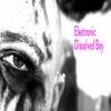 Download track Electronic (Chillout Mix)