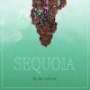 Download track Sequoia (The Ancestors)