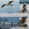 Download track Evening Instrumental Music For Breathtaking Rio