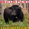 Download track El Toro Negro