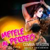 Download track Tu Te Lo Pierdes (Remix)