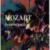Download track 03 - Sinfonie Nr. 40 G-Moll KV 550 - Menuetto- Allegretto, Trio