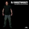 Download track Get The Party Started (DJ BoozyWoozy Bamboo Re-Fix)