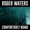 Download track Comfortably Numb