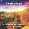 Download track Relaxing Music, Pt. 2