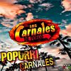 Download track Popurri Carnales