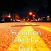 Download track Life Of A Don