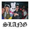 Download track Slang