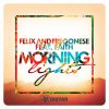 Download track Morning Lights (Extended Mix)