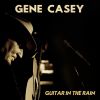 Download track Guitar In The Rain