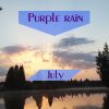 Download track Purple Melody