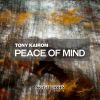 Download track Peace Of Mind (No Vox Mix)