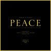 Download track Peace (Ozgur Can Remix)