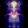 Download track Path To Karma Connection (Album Edit)