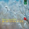 Download track Winterreise, D. 911 No. 15, Die Krähe (The Crow)