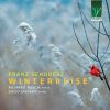 Download track Winterreise, D. 911 No. 16, Letzte Hoffnung (Last Hope)