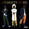 Download track A Variety Of Me