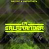 Download track La Salamandra