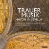 Download track 03. Symphony No. 44 In E Minor, Hob. I 44 III. Adagio (Preserved In The Cathedral Of Sevilla)