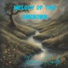 Download track Melody In The Shadows