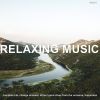 Download track Soothing Peace