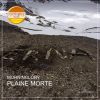 Download track Plaine Morte (Djonah Laforge Undisputable Remix)