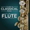 Download track Flute Sonata In A Minor, H. 555 I. Andante