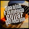 Download track Flamenco Gypsy Passion