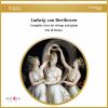 Download track Allegretto In B-Flat Major For Strings And Piano, WoO 39: I. Allegretto