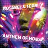 Download track Anthem Of House (Sol N Beef Club Mix)