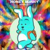 Download track Berserkr (Bunny House Dub Remix)