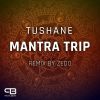 Download track Mantra Trip (ZEDO Remix)