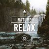 Download track Forest Relaxation