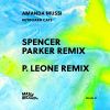 Download track Keyboard Cats (Spencer Parker Remix)
