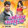 Download track Chala Man Karata