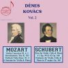 Download track Violin Sonata No. 17 In C Major, K. 296: I. Allegro Vivace
