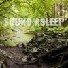 Download track Cohesive Strong Forest River Sounds, Pt. 19